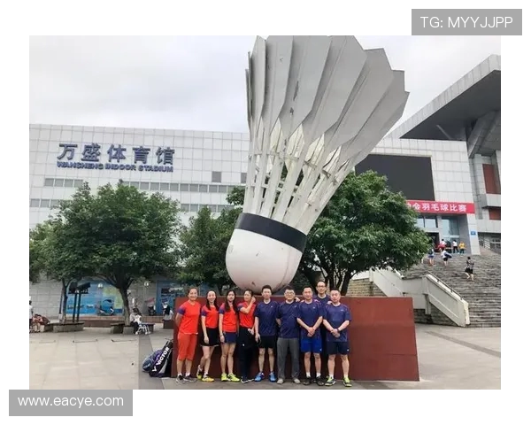 重庆羽毛球队的拼搏之路与挑战赛背后的故事揭秘