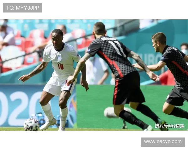 重庆飞盘队在极限运动嘉年华积分榜中以73分稳居第一名