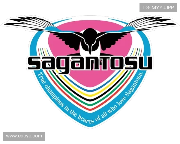 香港足球队迎战鸟栖沙岩挑战赛精彩对决即将上演