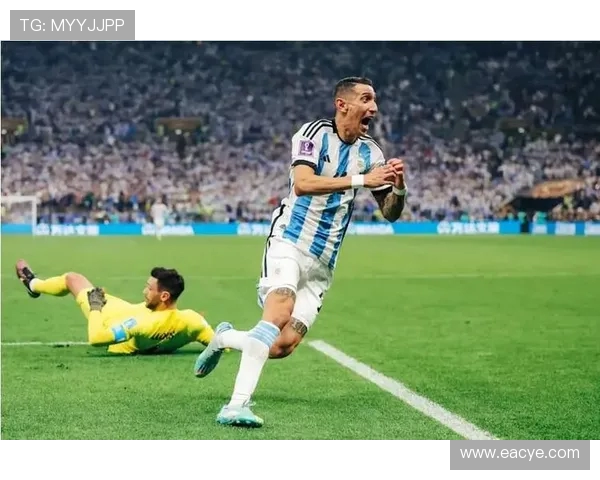 麦卡利斯特的传奇人生与足球梦想的交织之路